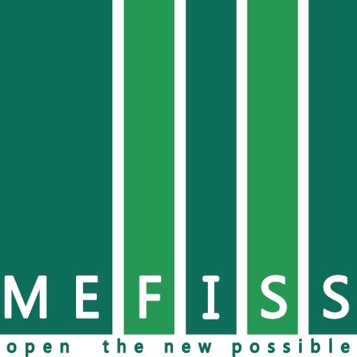 Medical Grade Spacer Mesh