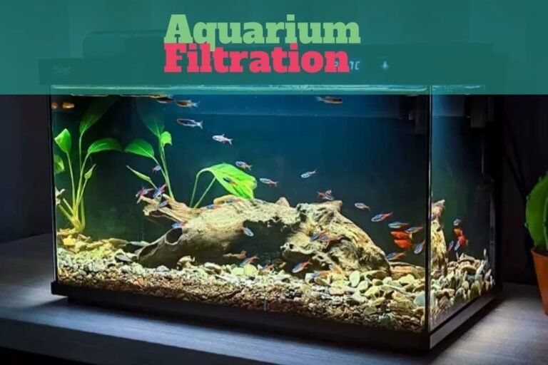 Reusable Mesh Fabric for Aquarium Filtration