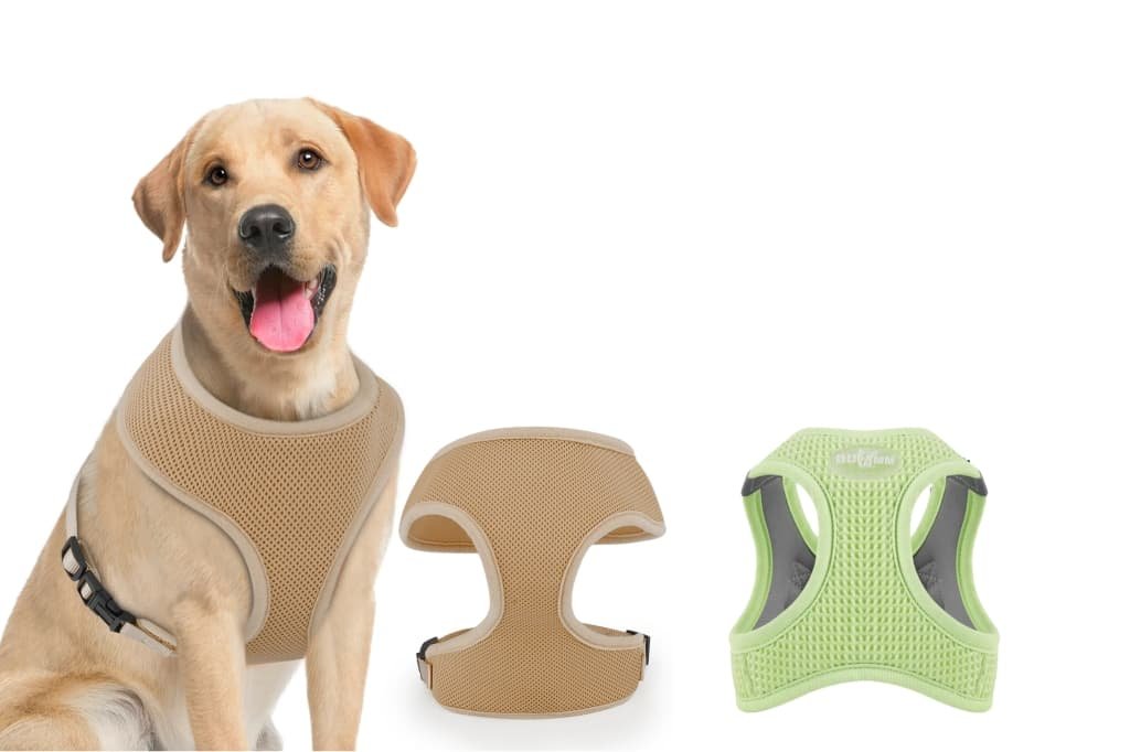 Pet Products