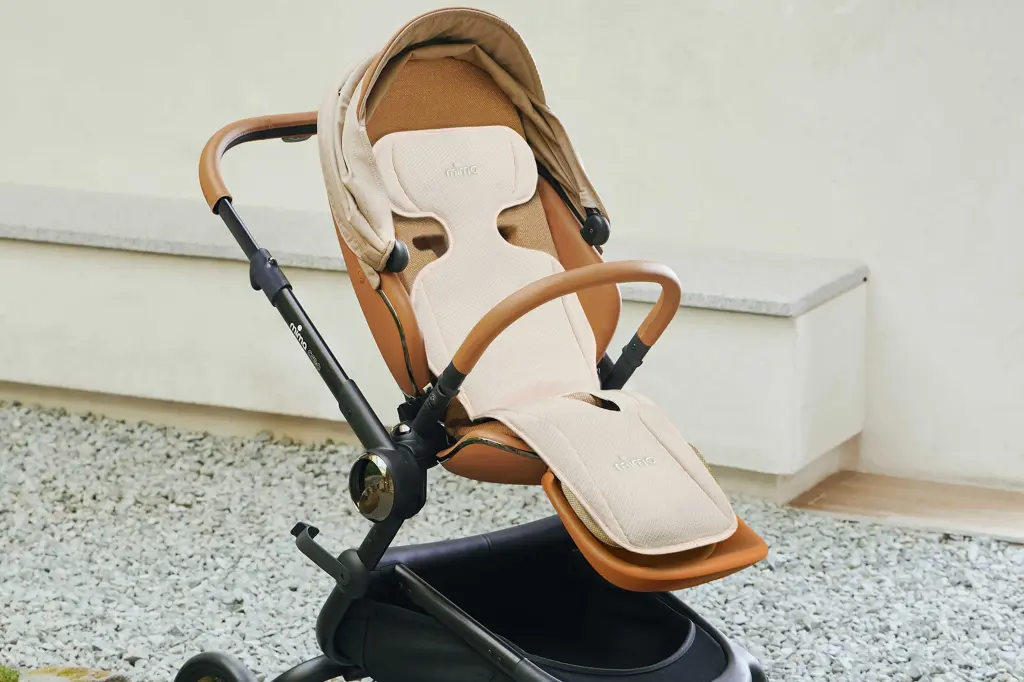 Baby & Stroller