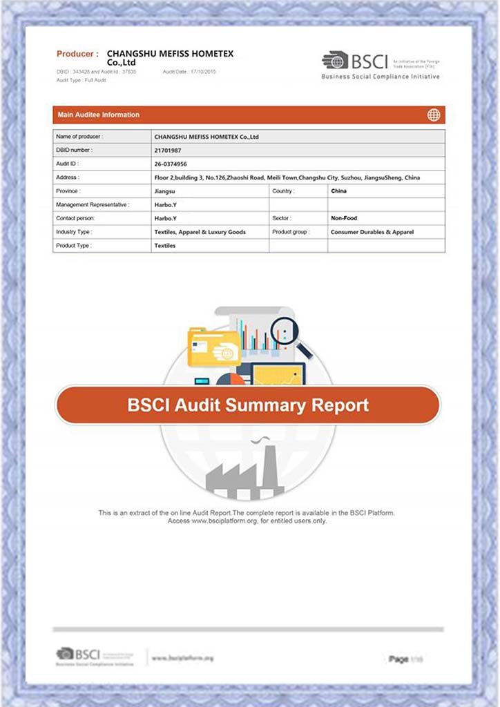 BSCI Audit Report